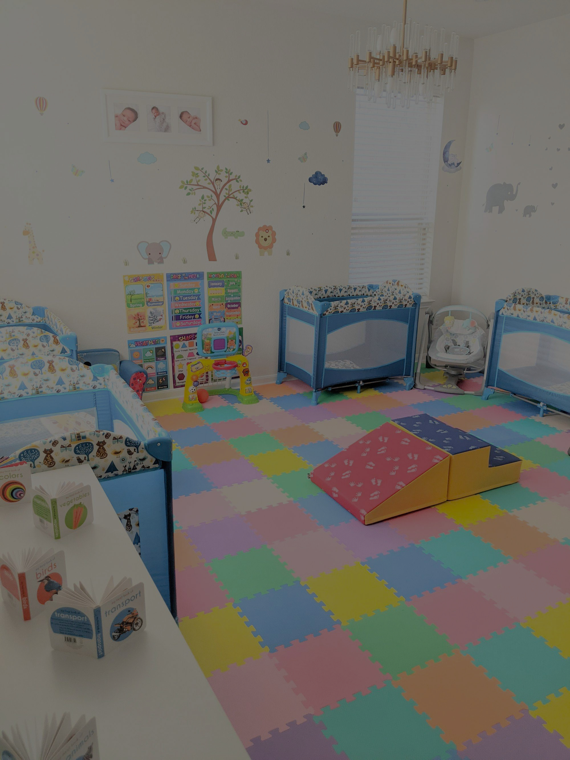 Playroom with learning charts, books and toys